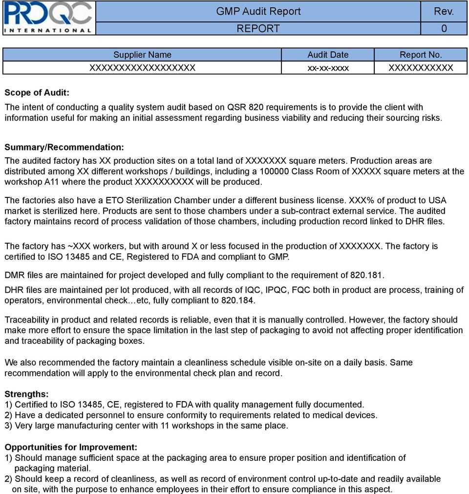 It Audit Report Template Word