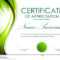 Green Certificate – Mahre.horizonconsulting.co Inside Green Belt Certificate Template