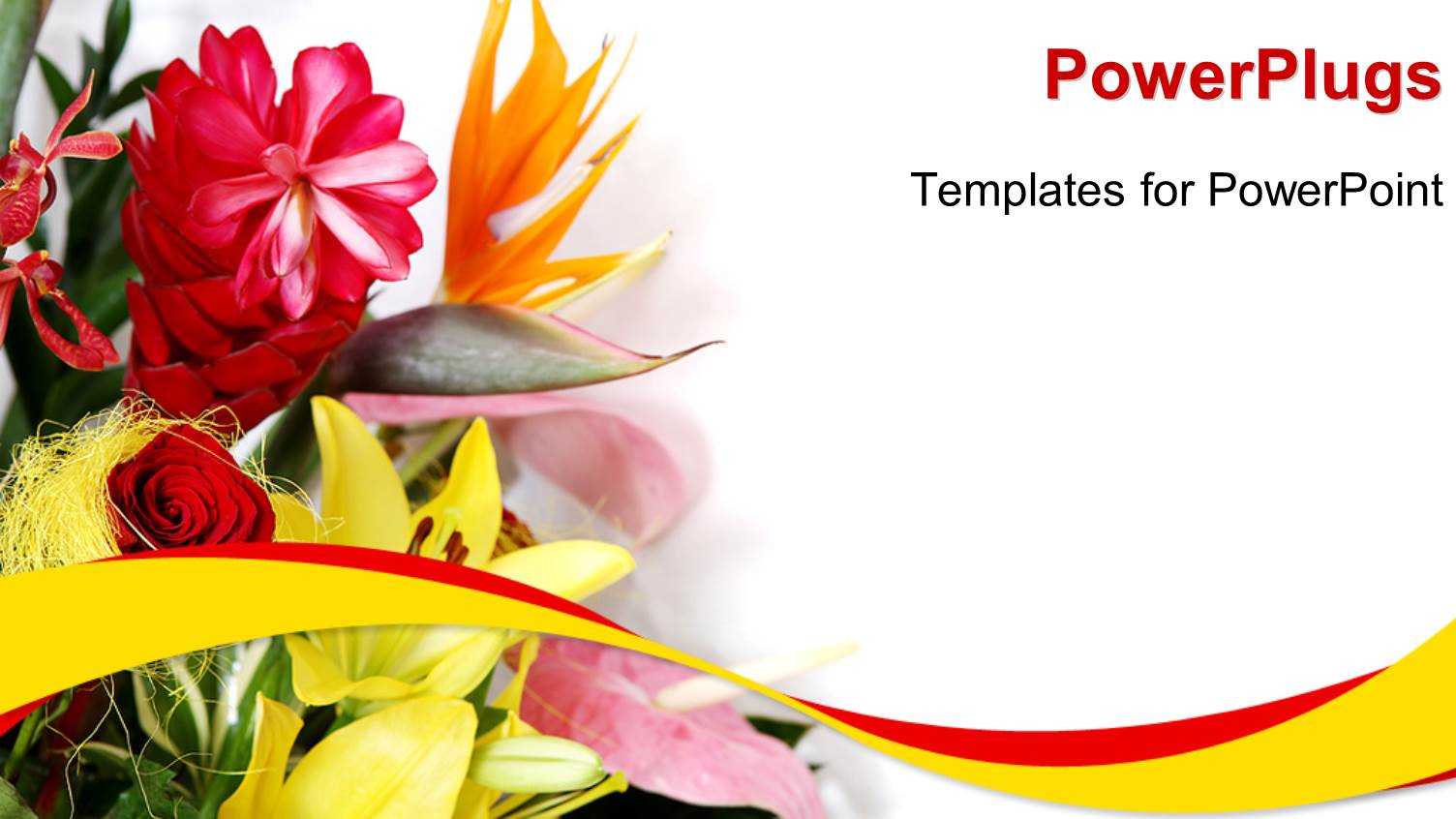 Greeting Template. Greeting Cards Word Templates Publisher In Greeting Card Template Powerpoint