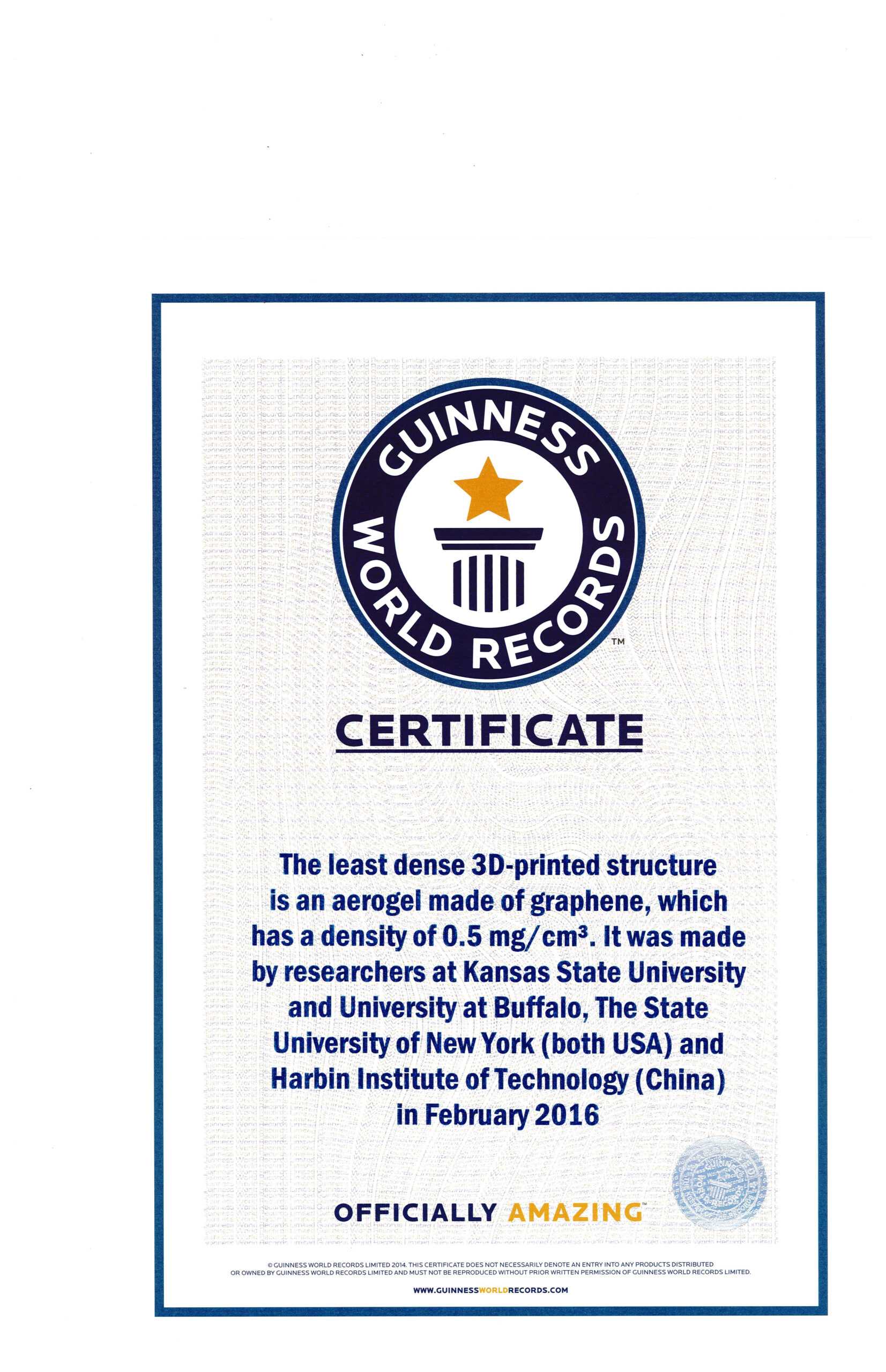 Guinness World Records Guinness World Record Certificate Throughout Guinness World Record Certificate Template