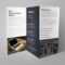 Helsinki Professional Tri Fold Brochure Design Template – Graphic Templates For Professional Brochure Design Templates