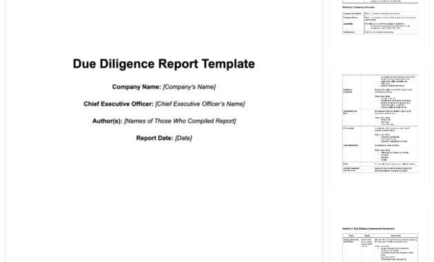 How To Write Due Diligence Report For M&amp;a [+ Sample] inside Vendor Due Diligence Report Template