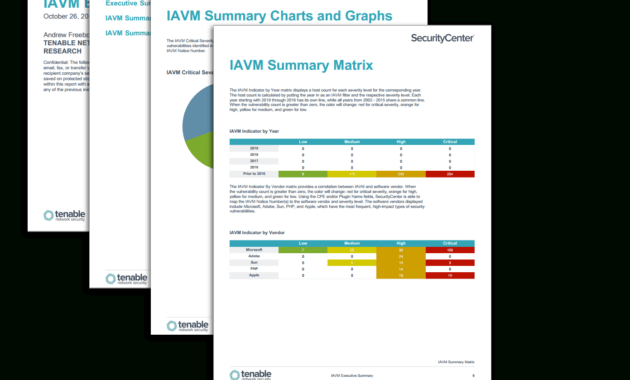 Iavm Executive Summary Report - Sc Report Template | Tenable® for Executive Summary Report Template