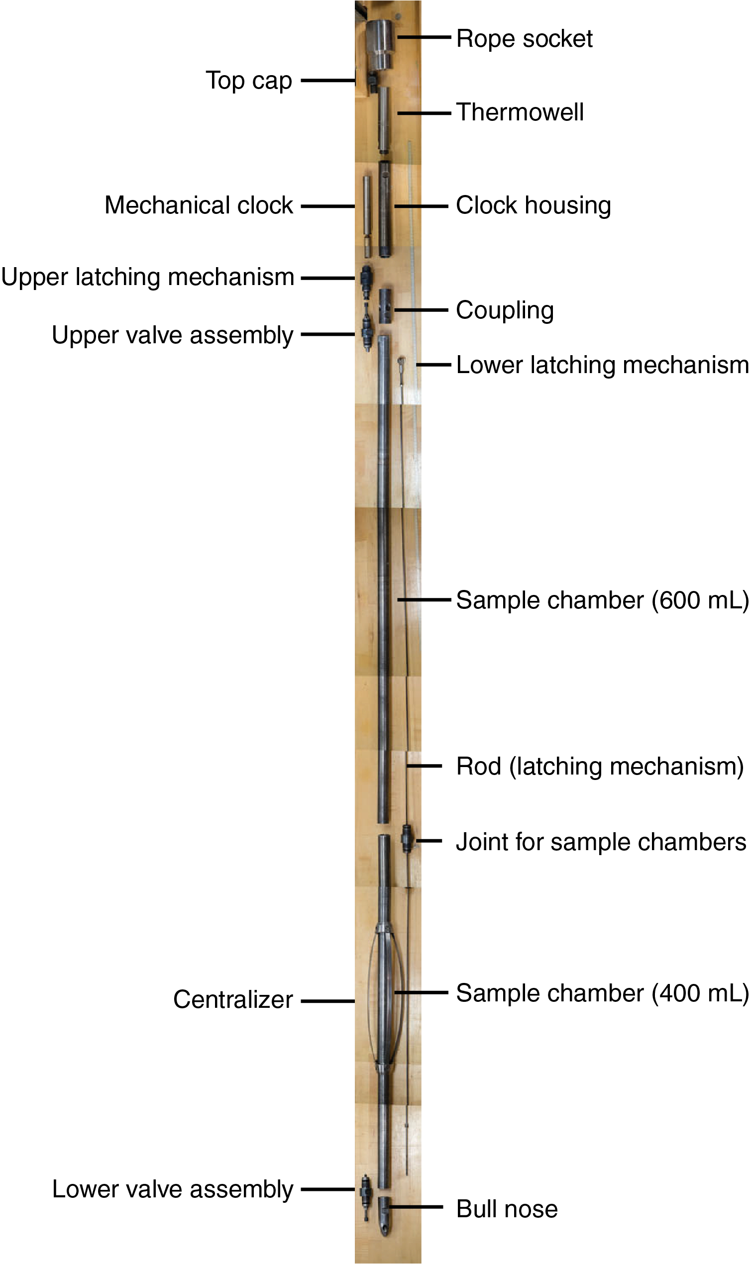 Iodp Publications • Volume 376 Expedition Reports In Blank Performance Profile Wheel Template