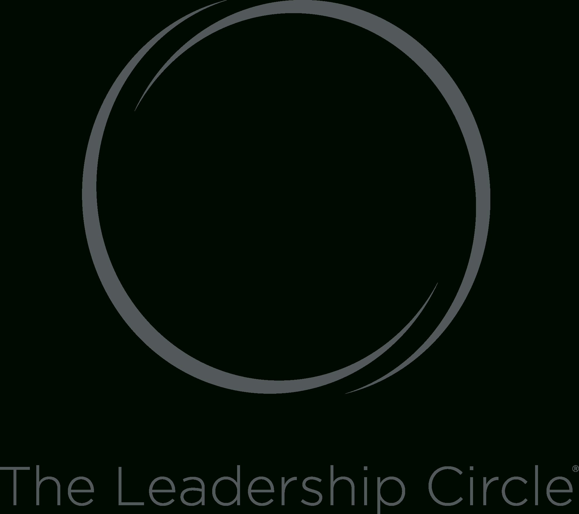 Leadership Assessment Tools – The Leadership Circle Within Blank Performance Profile Wheel Template