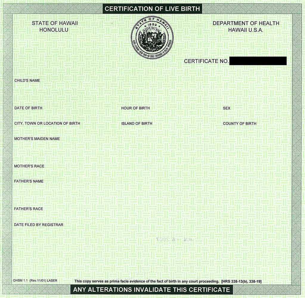 Make A Birth Certificate Lovely 15 Birth Certificate Inside Birth Certificate Fake Template