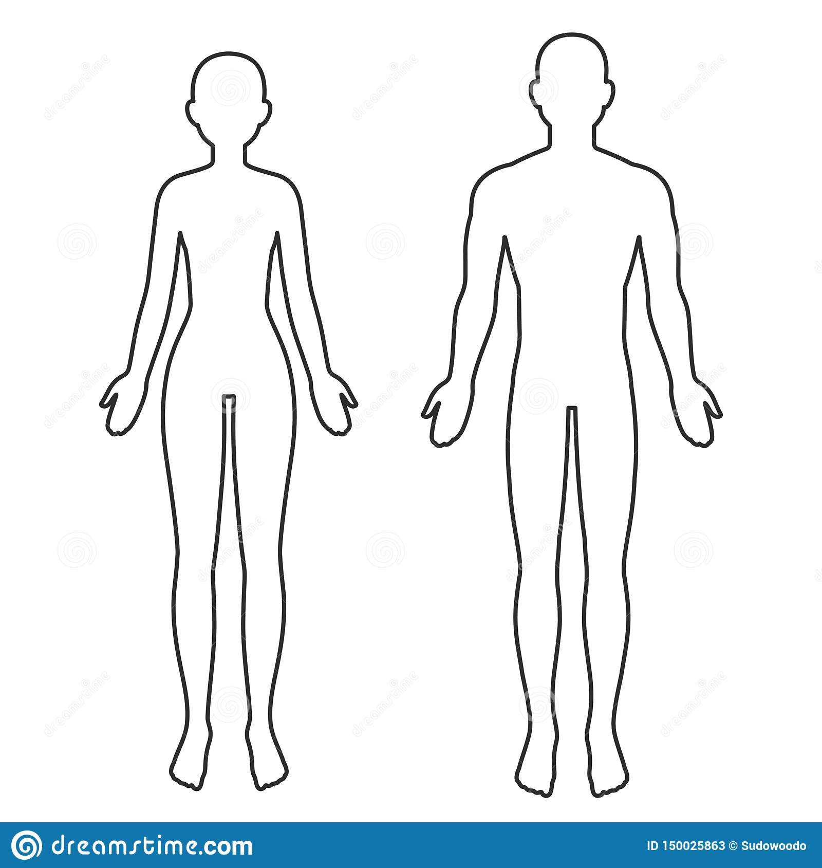 Male And Female Body Outline Stock Vector – Illustration Of Regarding Blank Body Map Template
