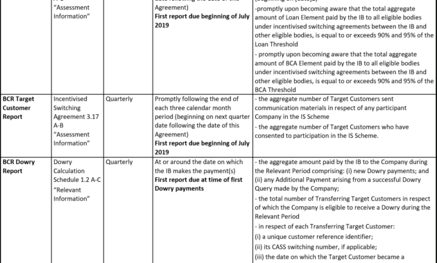 Mi &amp; Reporting – Bcr for Mi Report Template