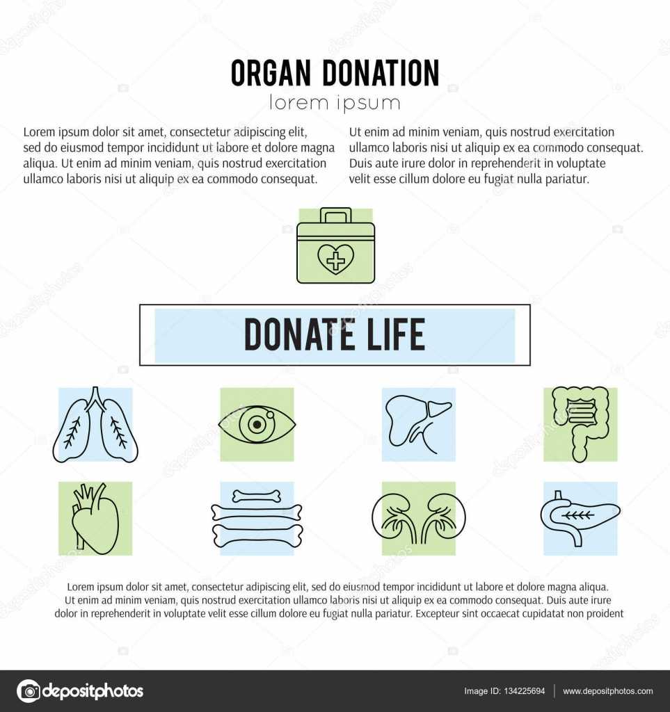 Organ Donation Template — Stock Vector © Julia Khimich Pertaining To Organ Donor Card Template