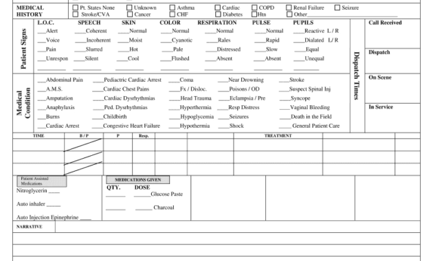 Patient Care Report Template Doc - Fill Online, Printable for Patient Care Report Template
