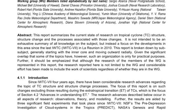 Pdf) Structure And Structure Change Processes - Rapporteur for Rapporteur Report Template