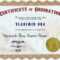 Printable Certificate Of Ordination Template Certificate Of Throughout Certificate Of Ordination Template