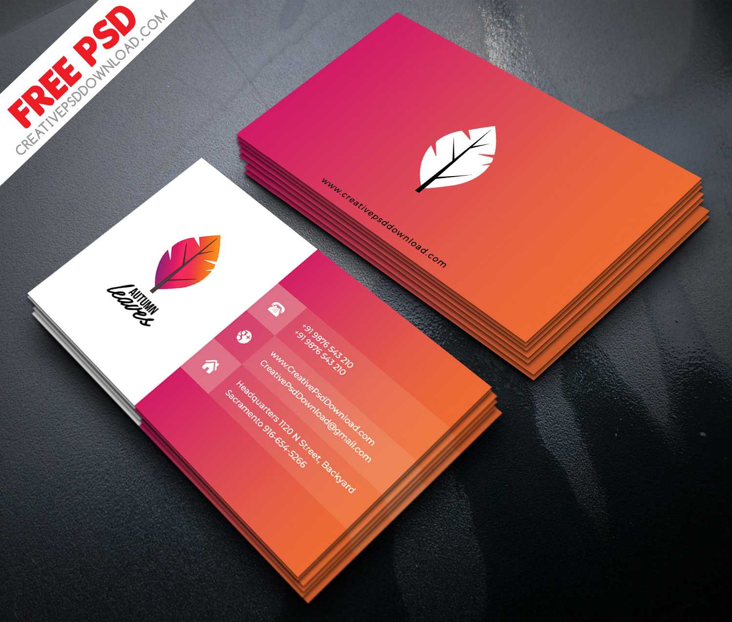 Professional Business Card Psd Free Download For Visiting Card Templates Psd Free Download