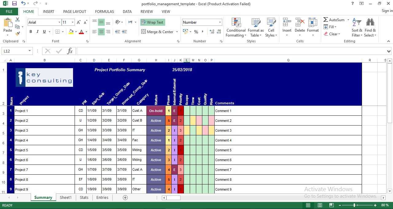 Project Portfolio Management Excel Template – Engineering Inside Portfolio Management Reporting Templates