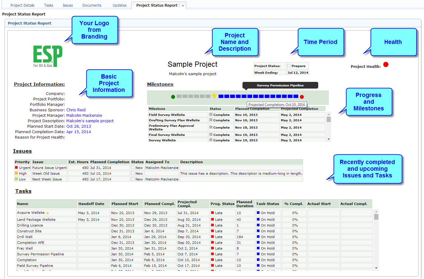 Project Status Report Summary Example Inside Executive Summary Project Status Report Template