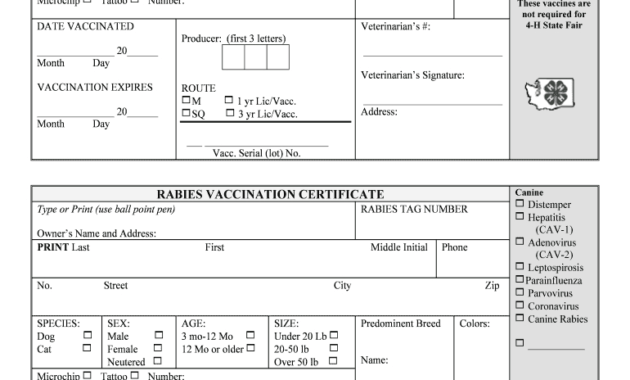 Rabies Certificate Template - Fill Online, Printable in Rabies Vaccine Certificate Template