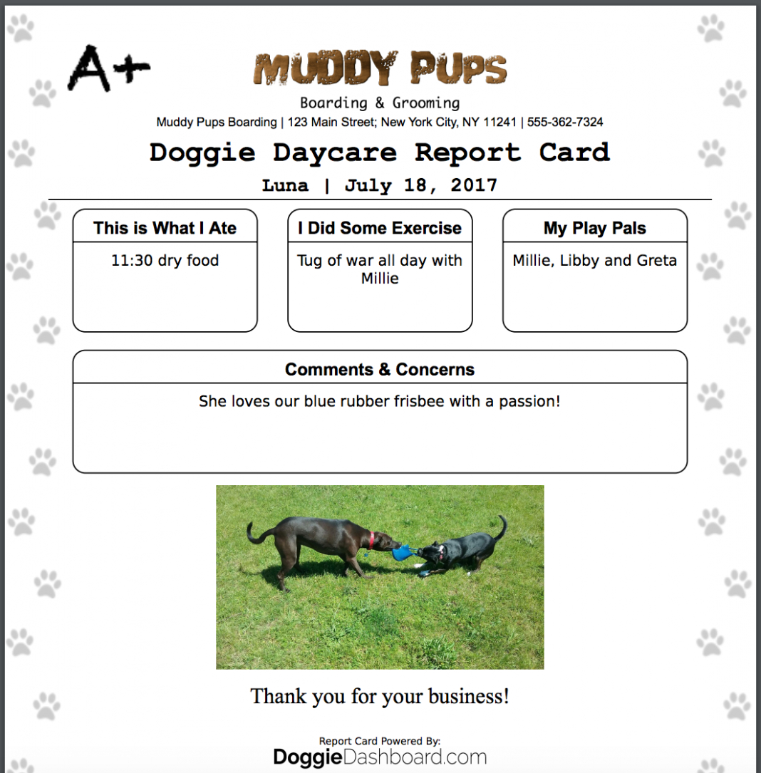 Report Examples Dog Walking Card Template Doggiedashboard For Dog Grooming Record Card Template