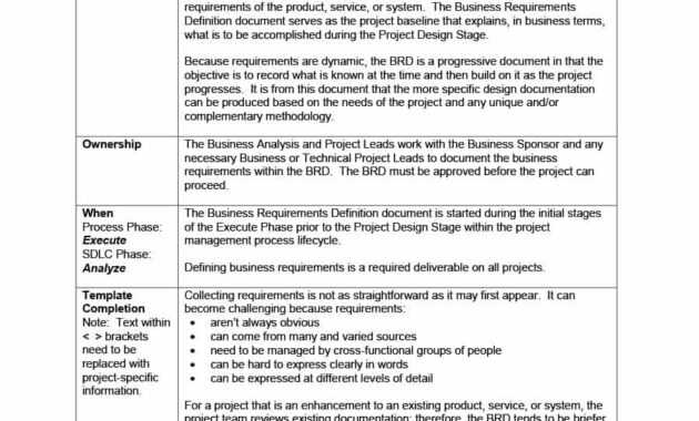 Requirements Document Example - Mahre.horizonconsulting.co with regard to Product Requirements Document Template Word