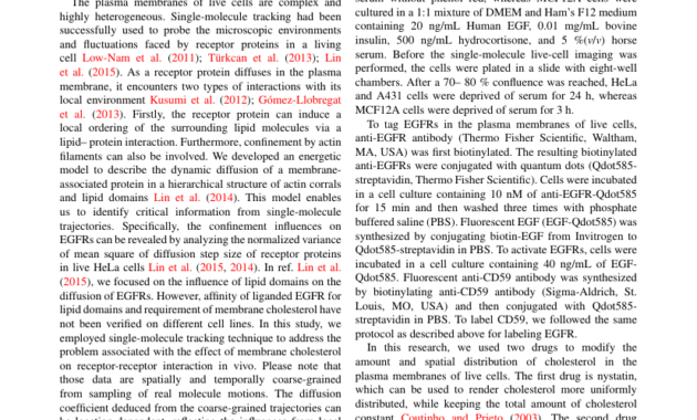 Sage - Sage Open Template with Academic Journal Template Word