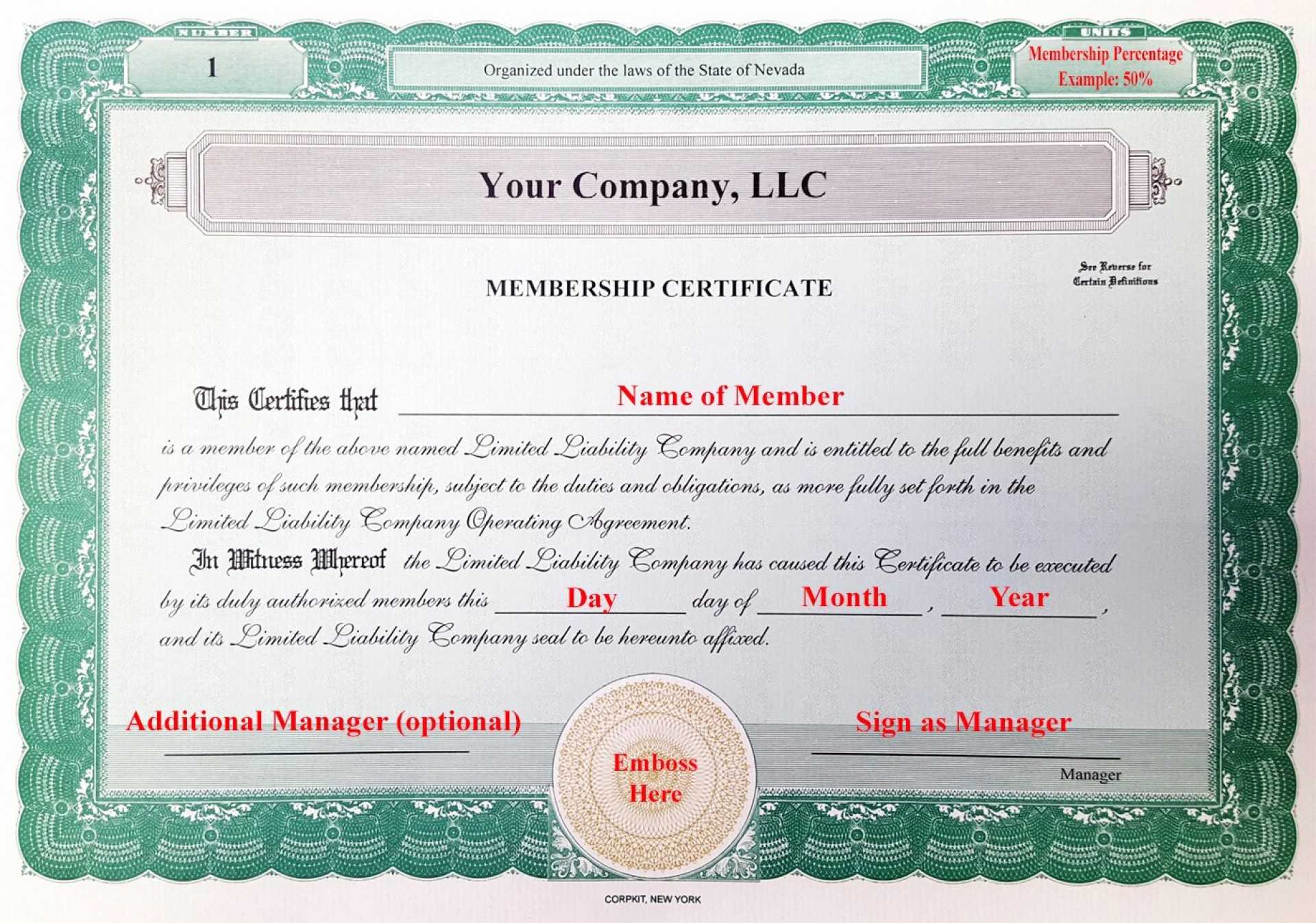 Sample Llc Membership Certificate – Mahre.horizonconsulting.co Inside Llc Membership Certificate Template