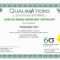 Six Sigma Black Belt Certificate Template – Carlynstudio Regarding Green Belt Certificate Template