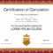 Sports Awards Certificate Template – Zohre.horizonconsulting.co Pertaining To Athletic Certificate Template