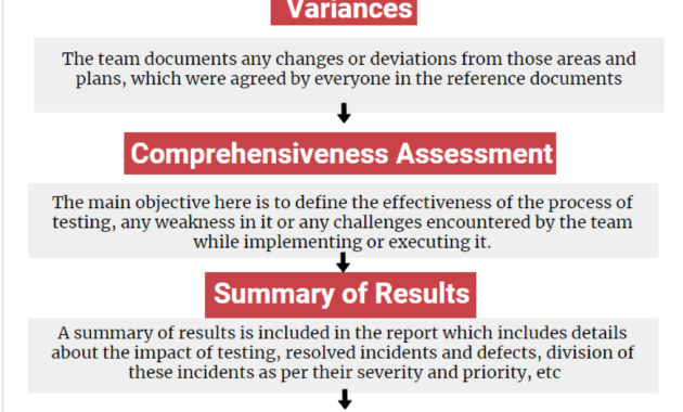 Test Summary Report |Professionalqa for Test Summary Report Template