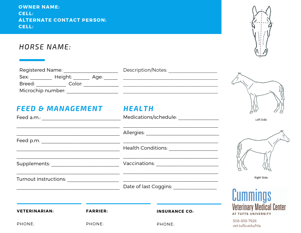 Travel Confidently – News Center At Cummings School Of Regarding Horse Stall Card Template