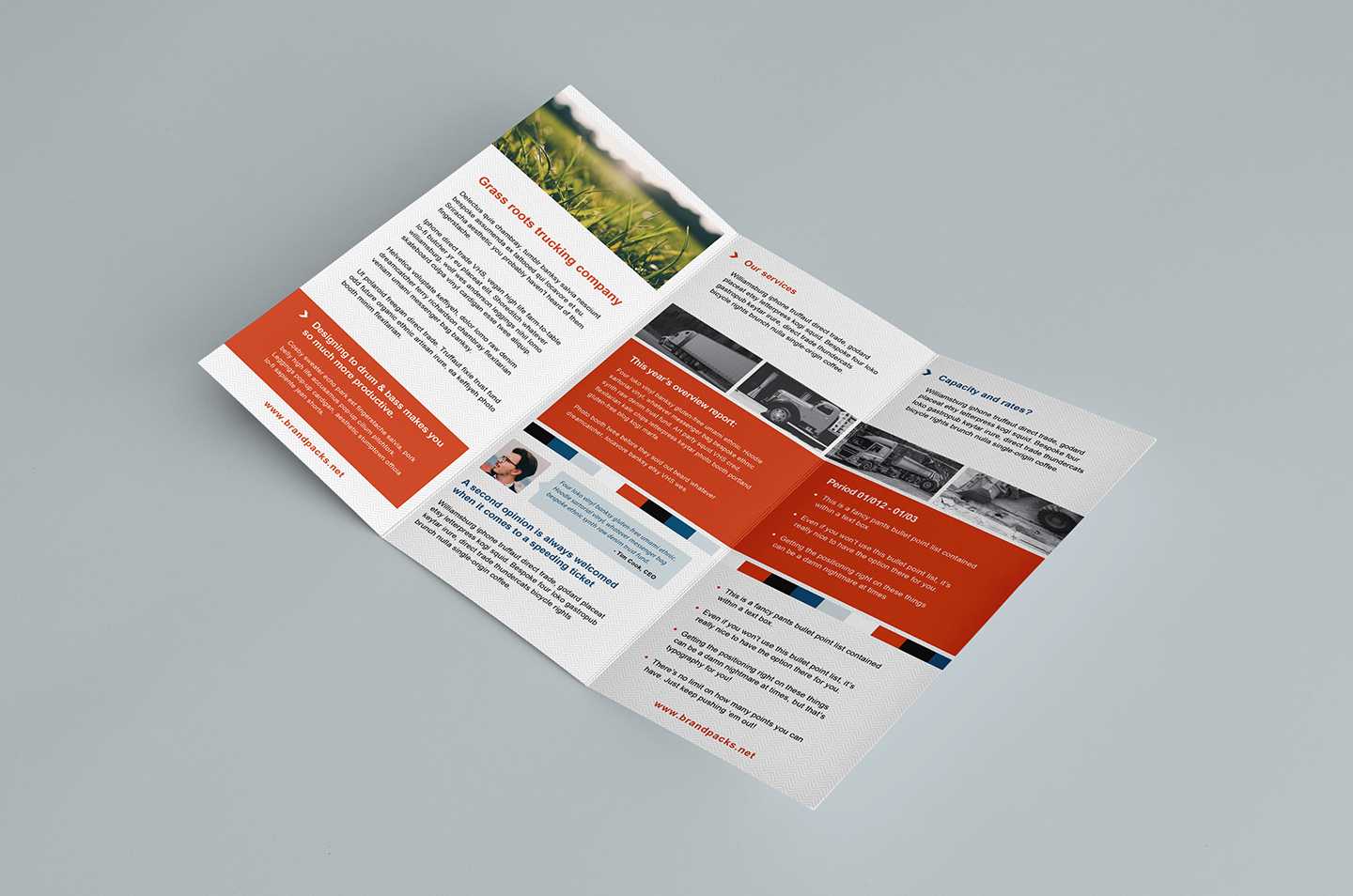 Tri Fold Brochure Template Illustrator – Zohre Throughout Tri Fold Brochure Ai Template
