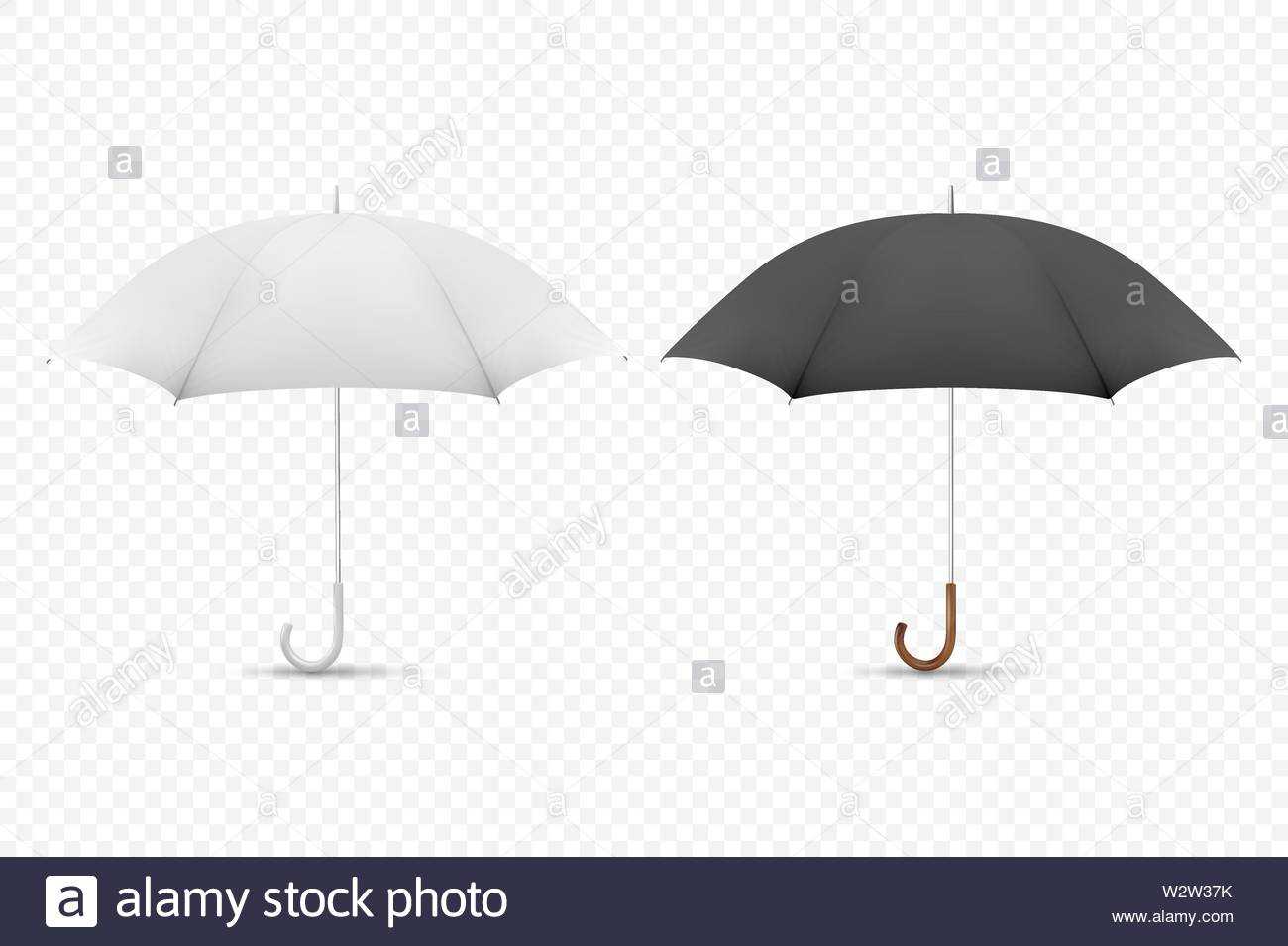 Vector 3D Realistic Render White And Black Blank Umbrella With Regard To Blank Umbrella Template