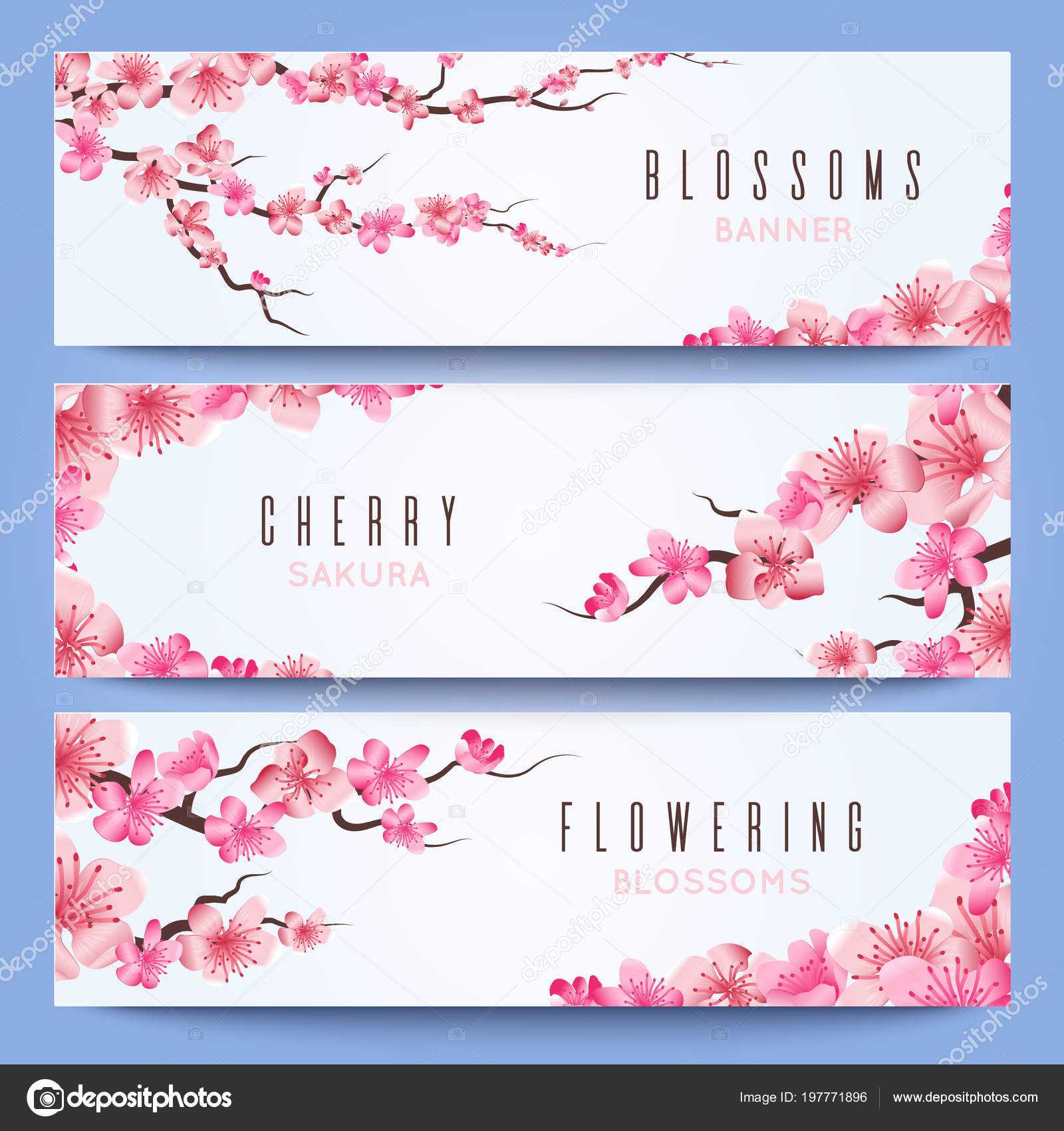 Wedding Banners Template With Spring Japan Sakura, Cherry Regarding Wedding Banner Design Templates